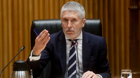 El ministro del Interior, Fernando Grande-Marlaska, este martes durante su comparecencia en el Congreso El ministro del Interior, Fernando Grande-Marlaska, este martes durante su comparecencia en el Congreso