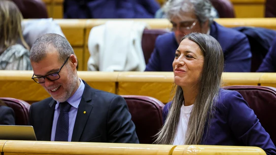 Junts y PSOE pactan cambios sobre los delitos de terrorismo en la ley de amnistía Junts y PSOE pactan cambios sobre los delitos de terrorismo en la ley de amnistía/ EFE/ Kiko Huesca