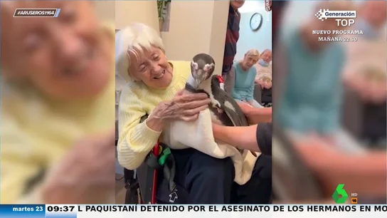 Unos pingüinos visitan una residencia de ancianos para alegrarle el día a sus usuarios Unos pingüinos visitan una residencia de ancianos para alegrarle el día a sus usuarios