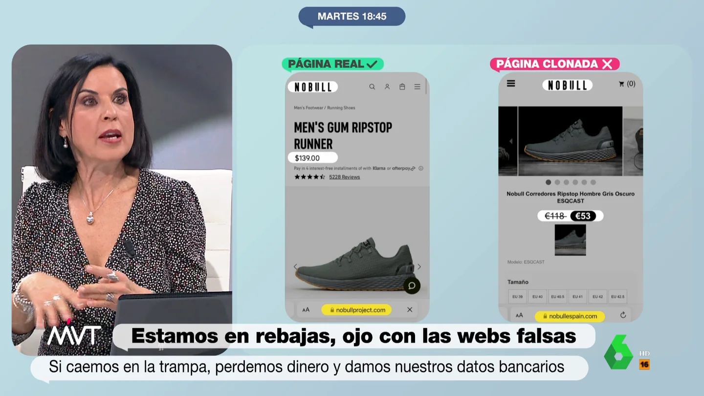 MVT Beatriz de Vicente sobre las estafas en internet MVT Beatriz de Vicente sobre las estafas en internet