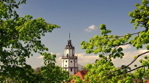 Paczków. Polonia