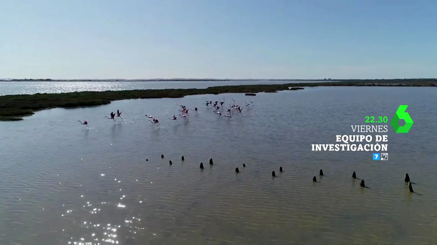 Hoy, en Equipo de Investigación, Gloria Serra destapa el escándalo del robo del agua que está secando Doñana Hoy, en Equipo de Investigación, Gloria Serra destapa el escándalo del robo del agua que está secando Doñana