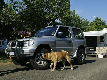 Evita que los perros orinen en las ruedas de tu coche con este truco casero Evita que los perros orinen en las ruedas de tu coche con este truco casero