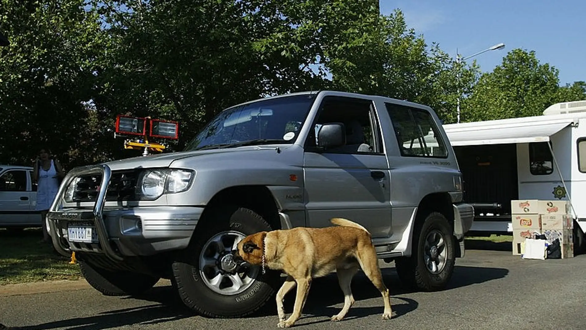Evita que los perros orinen en las ruedas de tu coche con este truco casero