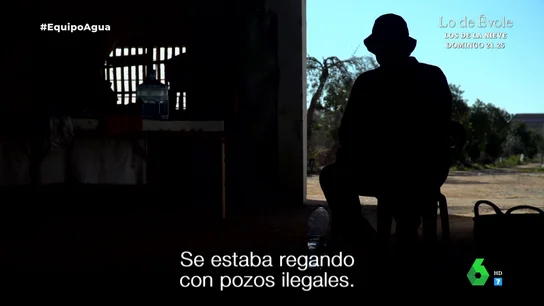 La denuncia de un exempleado en una finca de la Casa de Alba: "Regaban con pozos ilegales, robando agua a los vecinos" La denuncia de un exempleado en una finca de la Casa de Alba: "Regaban con pozos ilegales, robando agua a los vecinos"