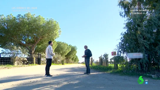 Un biólogo desvela el modus operandi de unos terratenientes condenados a prisión por el robo de agua en Doñana Un biólogo desvela el modus operandi de unos terratenientes condenados a prisión por el robo de agua en Doñana