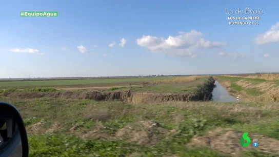 Equipo de Investigación muestra la finca de una familia arrocera condenada a prisión por el expolio de agua en Doñana Equipo de Investigación muestra la finca de una familia arrocera condenada a prisión por el expolio de agua en Doñana