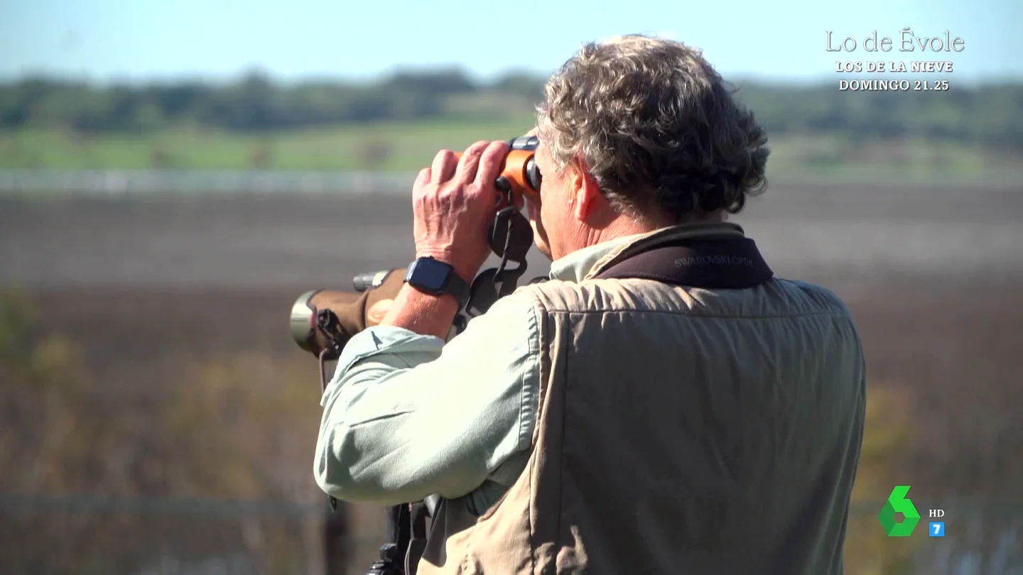 La triste reflexión de un ornitólogo sobre la situación en Doñana: "La naturaleza cuesta dinero y es difícil luchar contra eso en nombre de los flamencos" La triste reflexión de un ornitólogo sobre la situación en Doñana: "La naturaleza cuesta dinero y es difícil luchar contra eso en nombre de los flamencos"