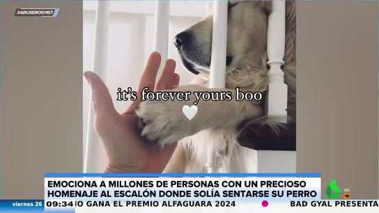 El emotivo homenaje de una mujer a su perro fallecido: una placa conmemorativa en las escaleras en las que solía dormir El emotivo homenaje de una mujer a su perro fallecido: una placa conmemorativa en las escaleras en las que solía dormir