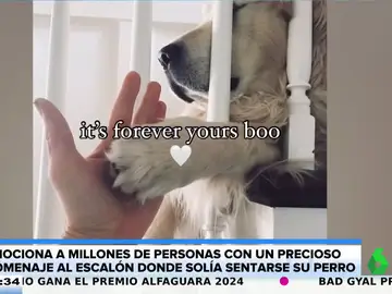 El emotivo homenaje de una mujer a su perro fallecido: una placa conmemorativa en las escaleras en las que solía dormir