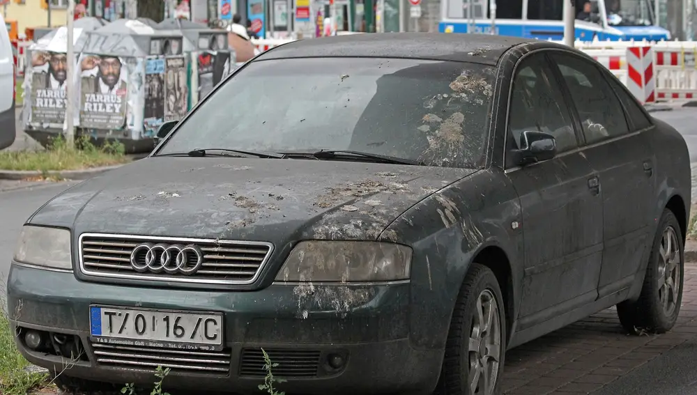 Audi cubierto de excrementos de paloma 