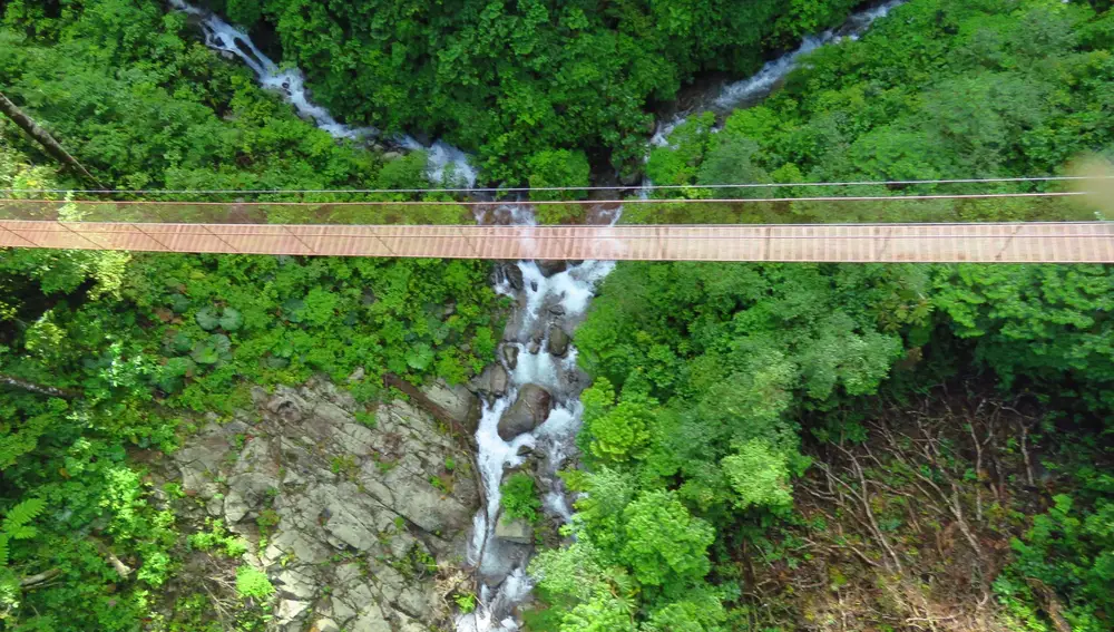 Puente colgante. Parque Cafetalero Chiricano. Panamá