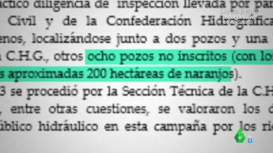 Una empresa de la Casa de Alba investigada por extracción ilegal de agua en Doñana recibió 1,4 millones en subvenciones Una empresa de la Casa de Alba investigada por extracción ilegal de agua en Doñana recibió 1,4 millones en subvenciones