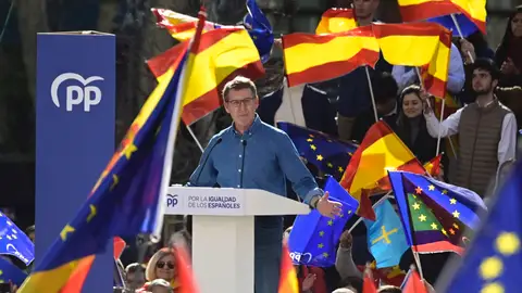 Alberto Núñez Feijóo en la manifestación del PP contra el Gobierno