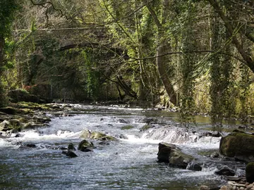 Imagen de archivo de un río Imagen de archivo de un río