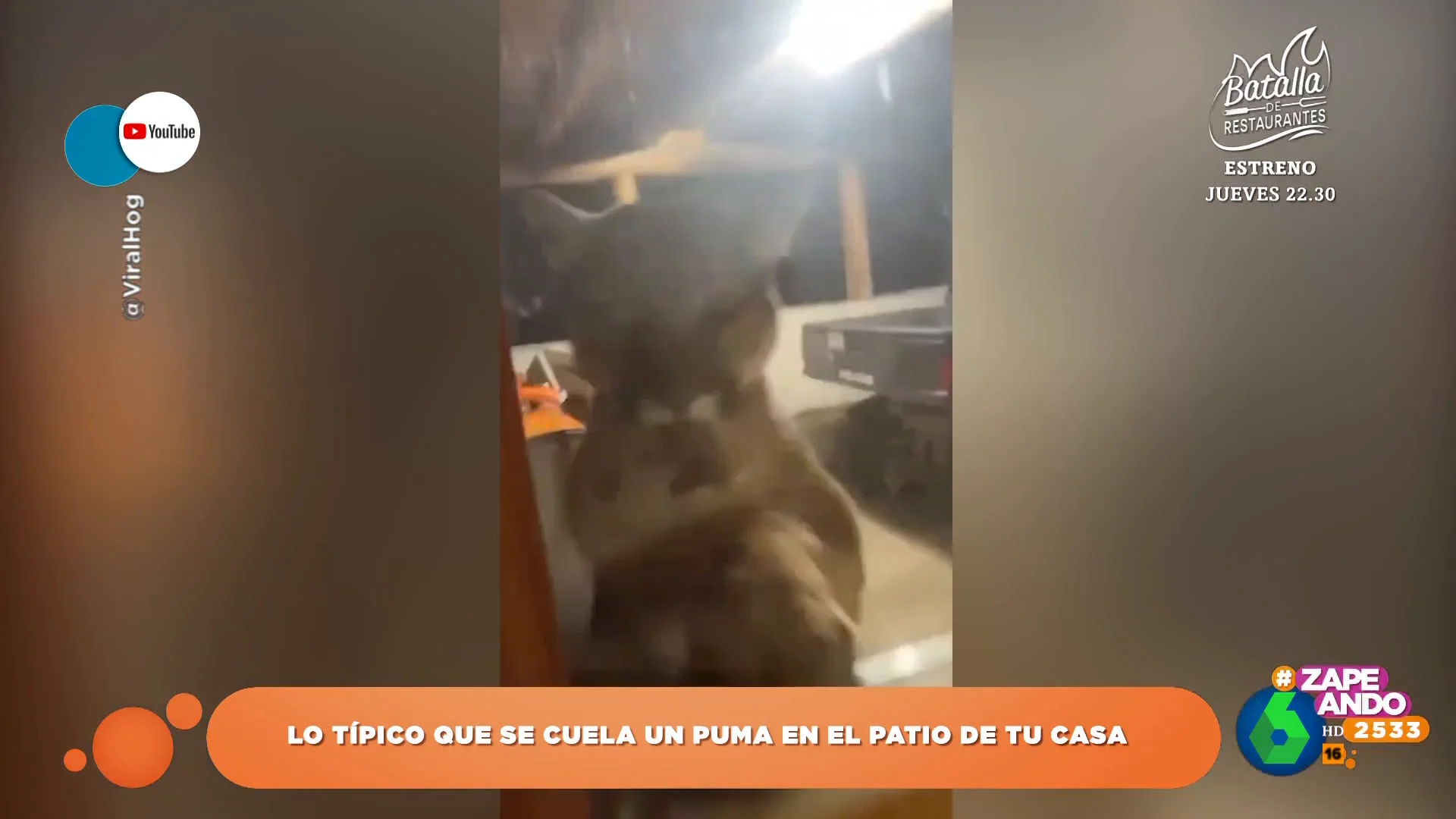 El inesperado 'visitante' que se cuela en el patio de una casa: este es el momento en el que lo descubren