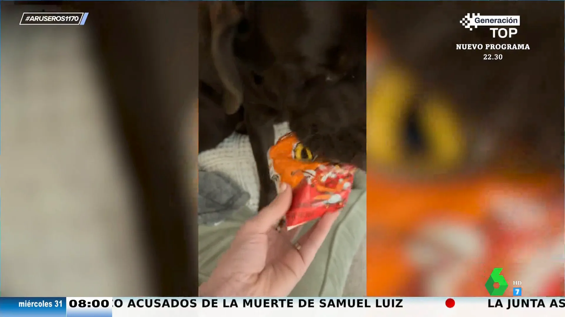 Pillan a un perro robando una bolsa de Cheetos: así la esconde en su boca y finge que no escucha las acusaciones de su dueña