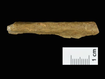 Hallan los restos de los primeros humanos al norte de los Alpes
