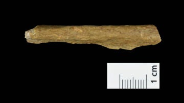 Vista de un fragmento de hueso humano procedente de las nuevas excavaciones en Ranis (Alemania)