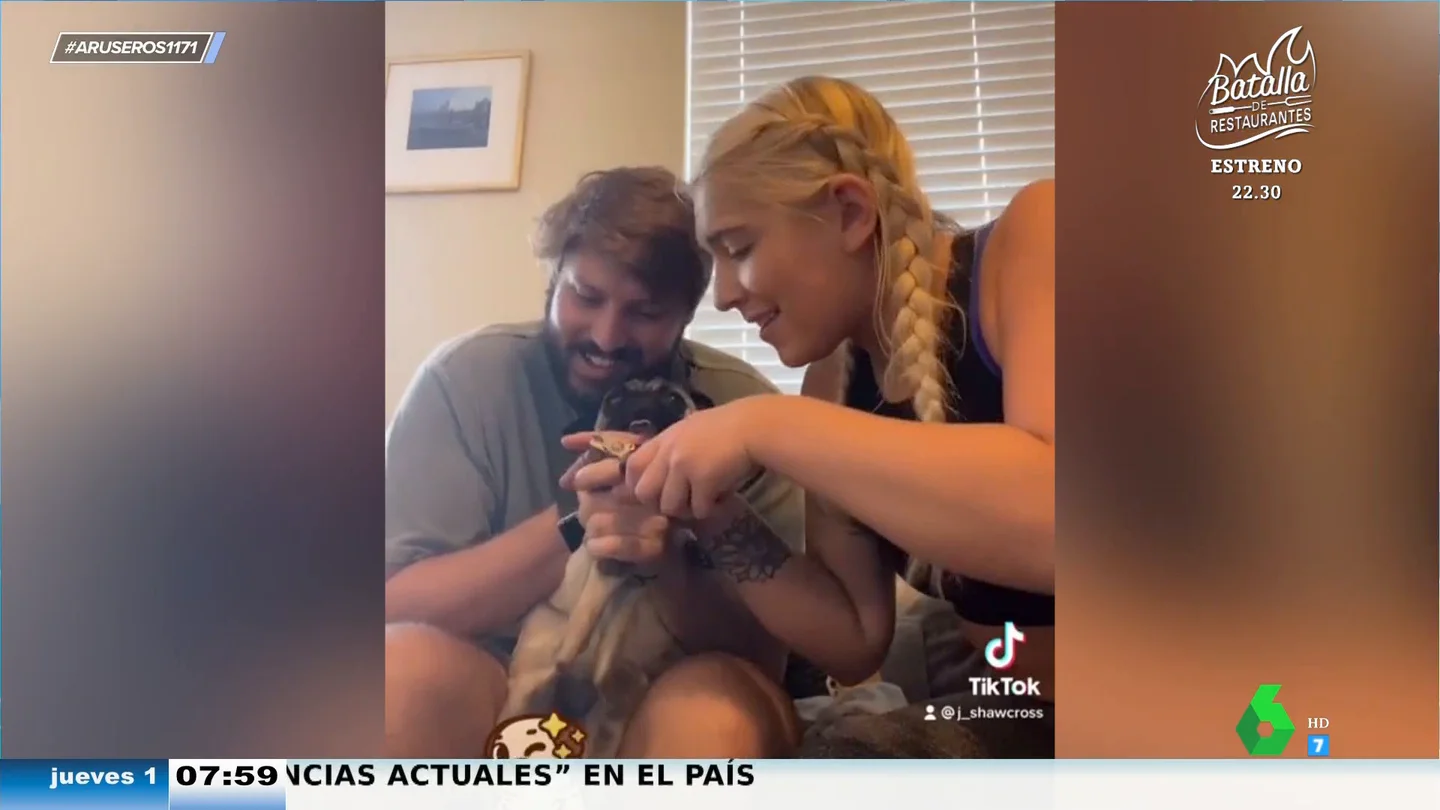 El divertido vídeo viral del perro que grita como si estuviera en una película de miedo cuando van a cortarle las uñas El divertido vídeo viral del perro que grita como si estuviera en una película de miedo cuando van a cortarle las uñas