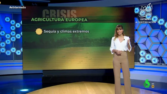 Sandra Sabatés explica en un minuto qué factores han provocado las protestas del sector agrícola europeo Sandra Sabatés explica en un minuto qué factores han provocado las protestas del sector agrícola europeo