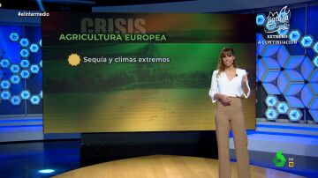 Sandra Sabatés explica en un minuto qué factores han provocado las protestas del sector agrícola europeo