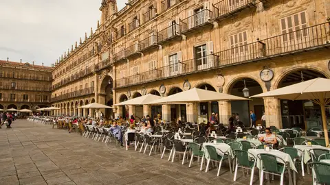 Bares en la plaza mayor de Salamanca Bares en la plaza mayor de Salamanca