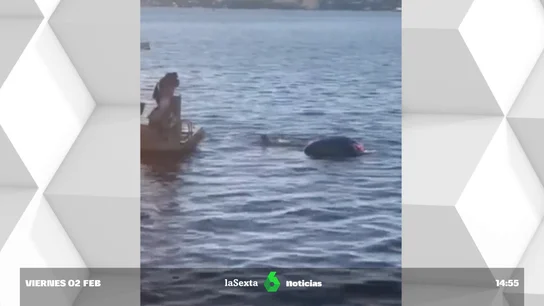Rescatan a dos turistas que caen con su coche en un fiordo de Oslo Rescatan a dos turistas que caen con su coche en un fiordo de Oslo