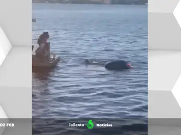 Rescatan a dos turistas que caen con su coche en un fiordo de Oslo