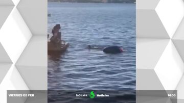 Rescatan a dos turistas que caen con su coche en un fiordo de Oslo
