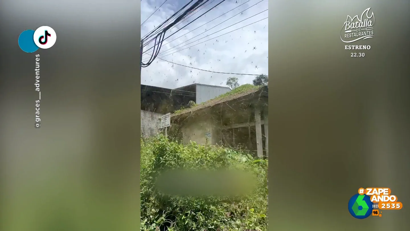 La desagradable sorpresa que se ha llevado una influencer durante un viaje a Bali La desagradable sorpresa que se ha llevado una influencer durante un viaje a Bali