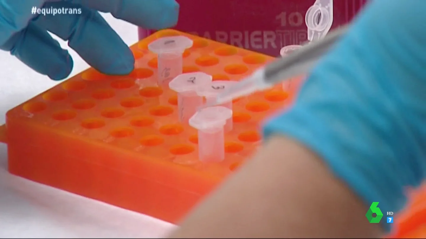 Así buscaban en este instituto de biología molecular la longevidad y la salud manipulando los genes del tomate Así buscaban en este instituto de biología molecular la longevidad y la salud manipulando los genes del tomate