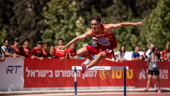 David Pérez Bruque David Pérez Bruque