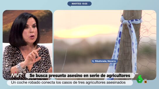 &iquest;Cu&aacute;l es la diferencia entre un asesino en serie y un multicida? La explicaci&oacute;n de Beatriz de Vicente