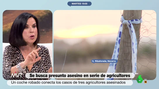 ¿Cuál es la diferencia entre un asesino en serie y un multicida? La explicación de Beatriz de Vicente ¿Cuál es la diferencia entre un asesino en serie y un multicida? La explicación de Beatriz de Vicente