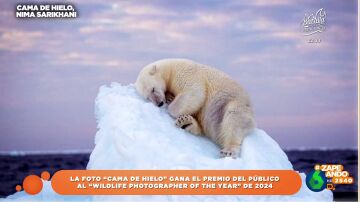 La impresionante fotografía ganadora del premio del público al 'Wildlife Photographer of the Year' de 2024