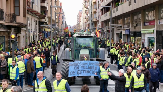Agricultores y ganaderos se dirigen a la delegación del Gobierno en LogroñoAgricultores y ganaderos se dirigen a la delegación del Gobierno en Logroño Agricultores y ganaderos se dirigen a la delegación del Gobierno en Logroño