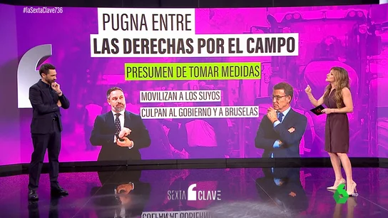 La pugna de la derecha por el voto del campo: así intentan capitalizar PP y Vox las protestas de los agricultores La pugna de la derecha por el voto del campo: así intentan capitalizar PP y Vox las protestas de los agricultores