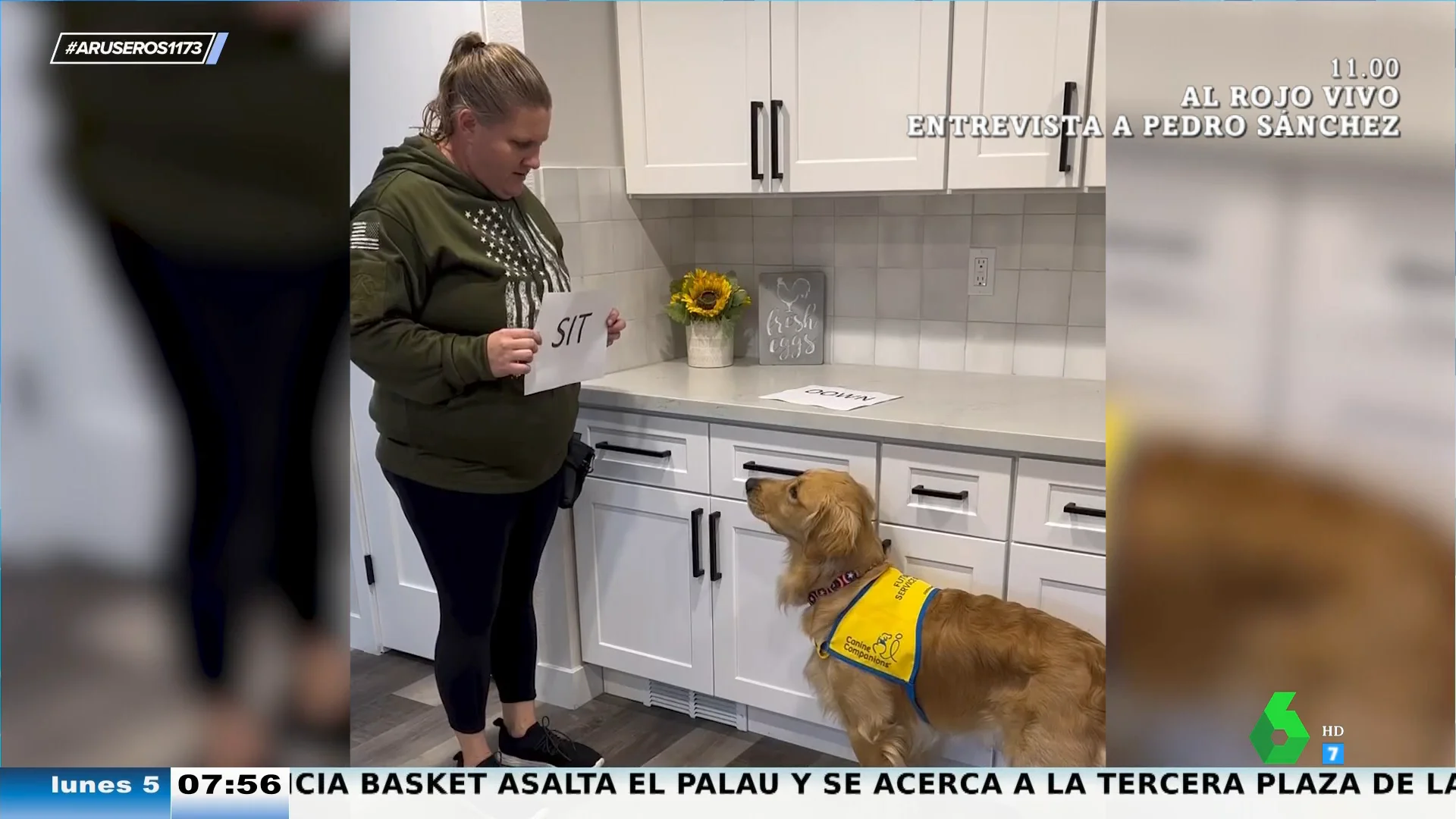 El increíble perro que ha aprendido a leer: así se sienta y se tumba cuando lo lee en el cartel