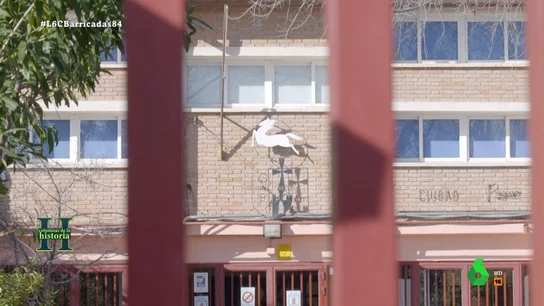 Ciudad Pegaso, el barrio obrero de Franco con jornada de 16 horas que luchó por sus derechos Bárbara Durán, nieta de uno de los obreros que vivieron en Ciudad Pegaso y trabajaron en la fábrica estatal de camiones, recuerda el pasado de estas calles y casas construidas por el franquismo, pero con una importante historia de lucha obrera.