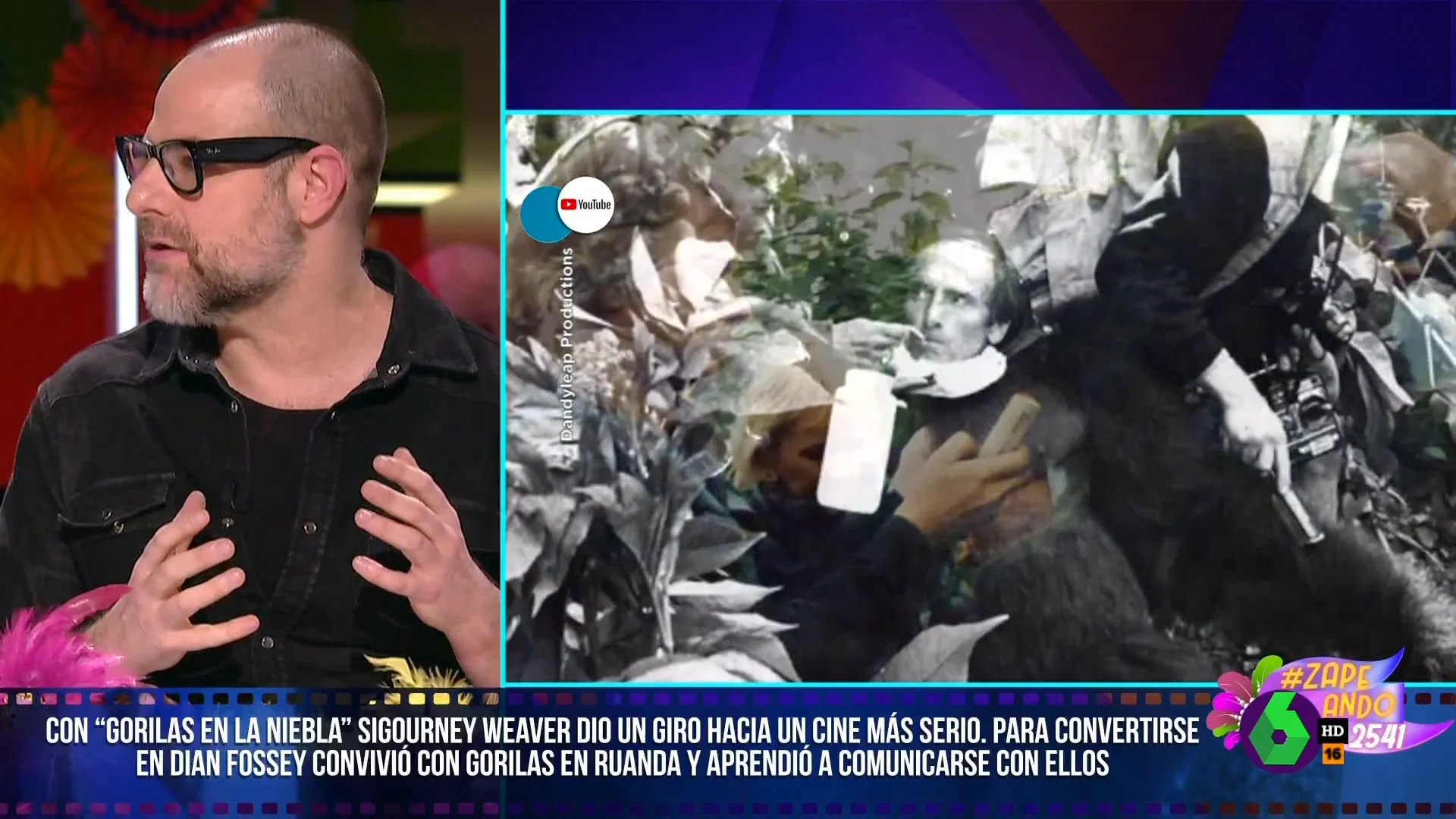 ¿Por qué grabaron con chimpancés pintados de negro en 'Gorilas en la niebla? Alberto Rey expone esta y otras curiosidades de la película