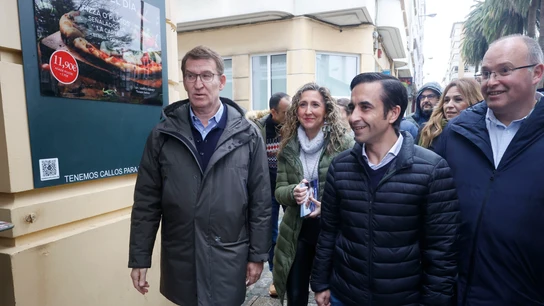 El presidente del Partido Popular, Alberto Núñez Feijóo. El presidente del Partido Popular, Alberto Núñez Feijóo.