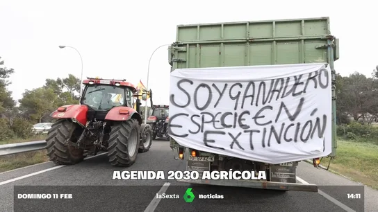 El clamor que comparten agricultores y ecologistas: denuncian las normativas europeas que "favorecen a las grandes explotaciones" El clamor que comparten agricultores y ecologistas: denuncian las normativas europeas que "favorecen a las grandes explotaciones"