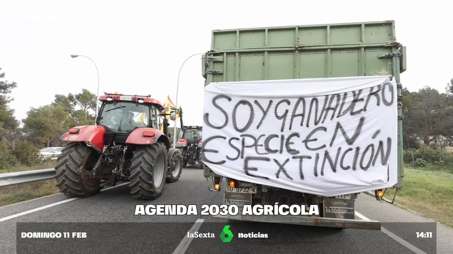 El clamor que comparten agricultores y ecologistas: denuncian las normativas europeas que "favorecen a las grandes explotaciones" El clamor que comparten agricultores y ecologistas: denuncian las normativas europeas que "favorecen a las grandes explotaciones"