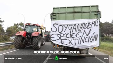 El clamor que comparten agricultores y ecologistas: denuncian las normativas europeas que "favorecen a las grandes explotaciones"