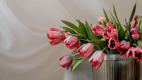 Ramo de tulipanes. 