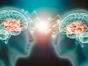 Cerebro Cerebro