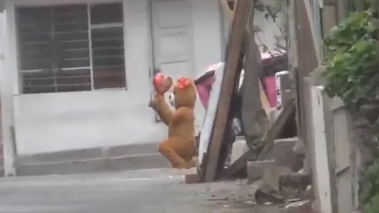 Un agente de la Policía de Perú, disfrazado de oso, en una operación que culminó con el arresto de dos presuntas vendedoras de droga Un agente de la Policía de Perú, disfrazado de oso, en una operación que culminó con el arresto de dos presuntas vendedoras de droga