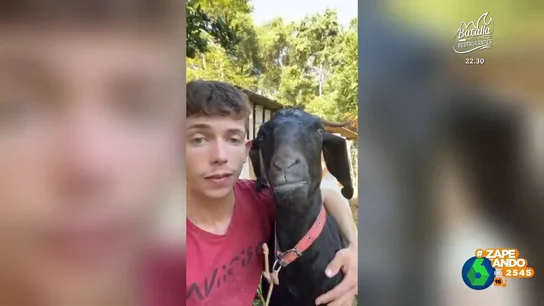El tierno momento entre un chico y su cabra al ritmo de Adele El tierno momento entre un chico y su cabra al ritmo de Adele