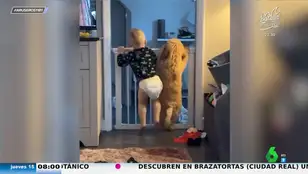 El entrañable vídeo viral de un cachorrito y un bebé que juegan a intentar saltar una valla
